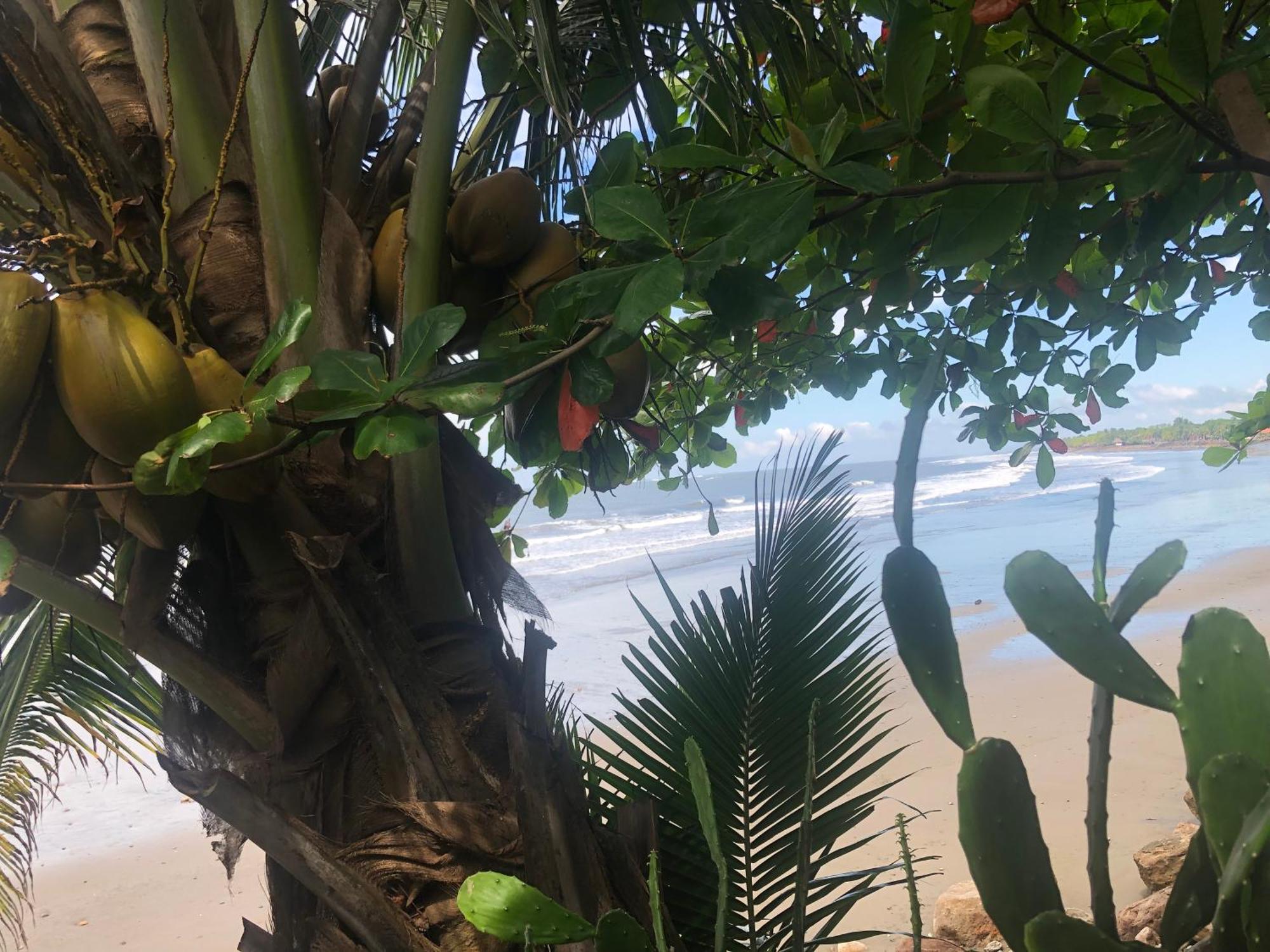 El Marabu Chill'N Surf Aposentillo Exterior foto